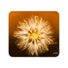 Golden Dawn Dandelion Mousepad