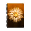 Golden Dawn Dandelion Notebook - Front