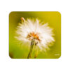 Breath of Day Dandelion Mousepad