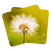 Breath of Day Dandelion Mousepads