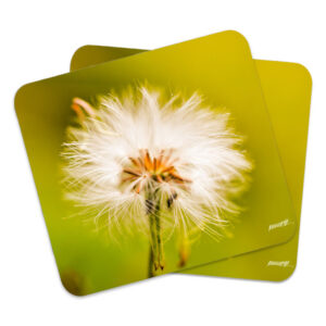 Breath of Day Dandelion Mousepads