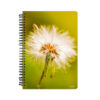 Breath of Day Dandelion Notebook - Front