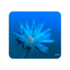 Twilight Echo Dandelion Mousepad