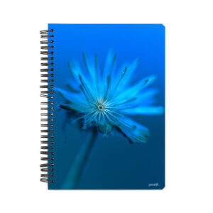 Twilight Echo Dandelion Notebook - Front