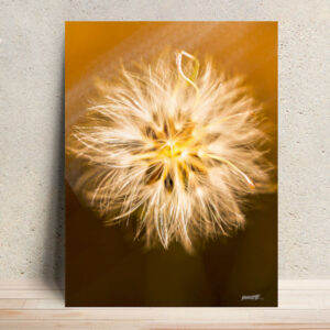 Golden Dawn - Ephemeral Whispers Metal Poster Wall