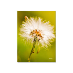 Breath of Day - Ephemeral Whispers Metal Poster