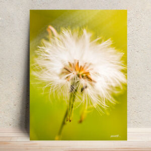 Breath of Day - Ephemeral Whispers Metal Poster Wall