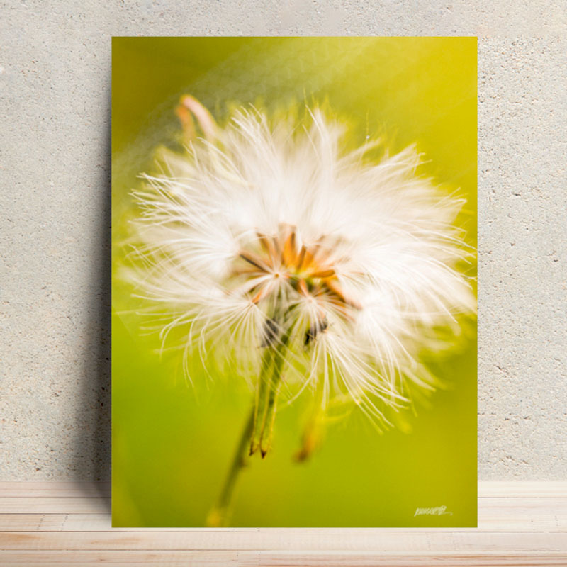 Breath of Day - Ephemeral Whispers Metal Poster