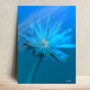 Twilight Echo - Ephemeral Whispers Metal Poster Wall